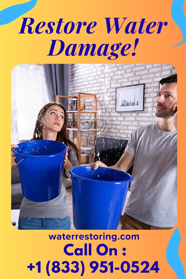 water restoration Solid Water Removal Company Inger