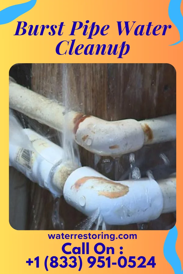 Burst Pipe Water Cleanup in Inger, MN